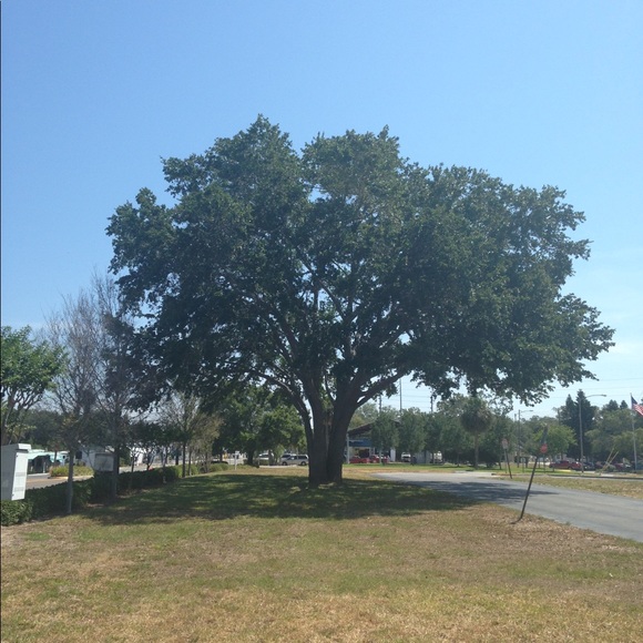 Meet your Posher, Kaley - Picture 1 of 1